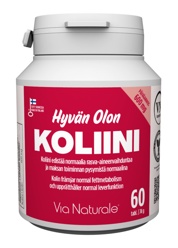 Hyvän Olon Koliini 60 tabl.