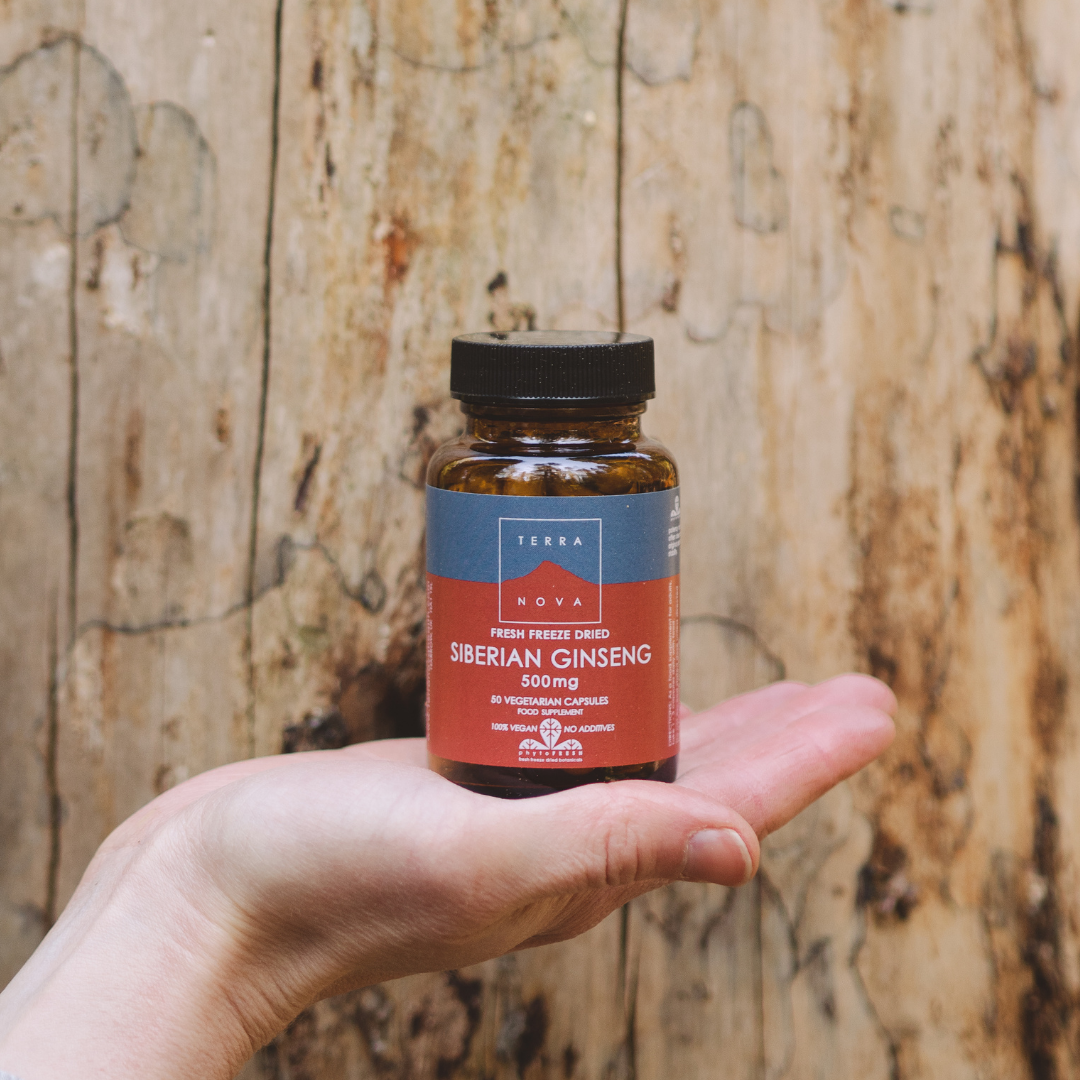 Terranova Siberian Ginseng 500 mg - Venäjänjuurivalmiste 50 kaps.