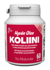 Hyvän Olon Koliini 60 tabl.
