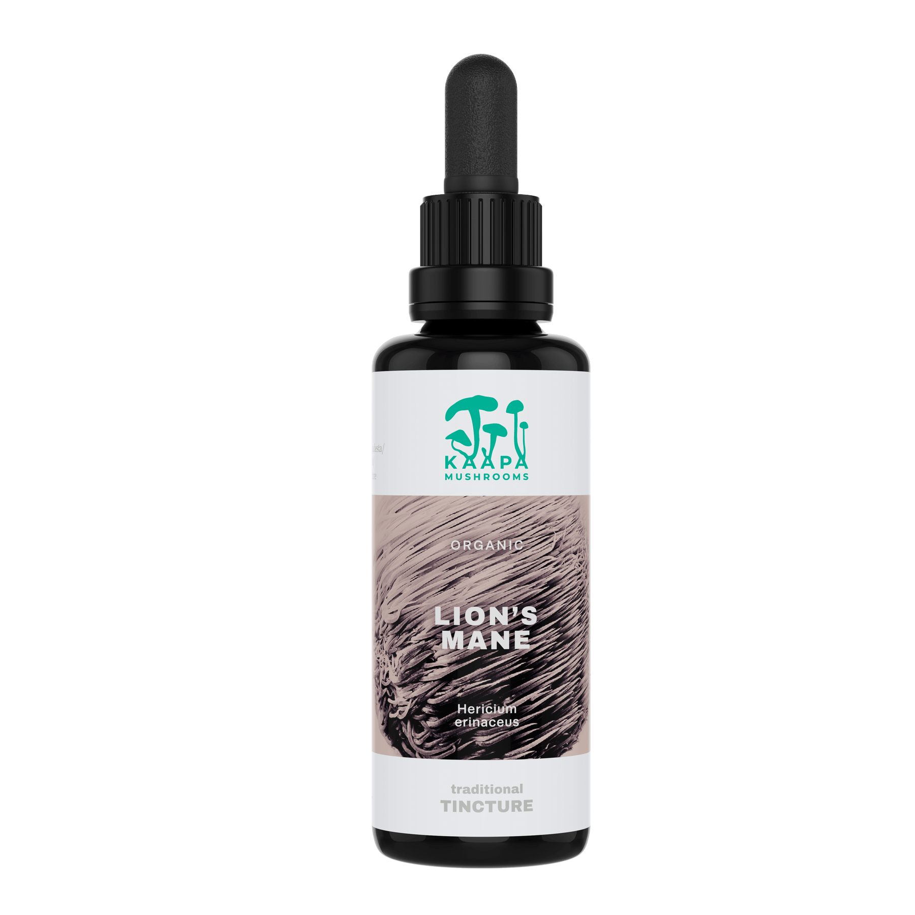 KÄÄPÄ Mushrooms Lion's Mane Tinktuura 50 ml