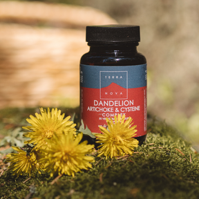 Terranova Dandelion - Voikukka, Artisokka & Kysteiini Complex 50 kaps.