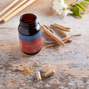 Terranova Fermented Ashwagandha - Fermentoitu ashwagandha 50 kaps.