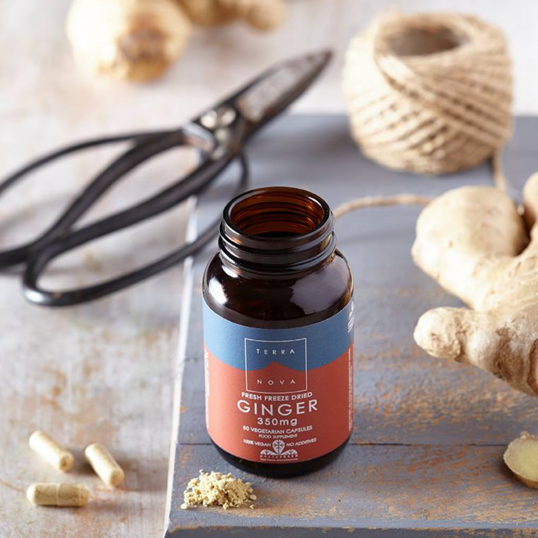 Terranova Ginger 350 mg - Inkiväärivalmiste 50 kaps.