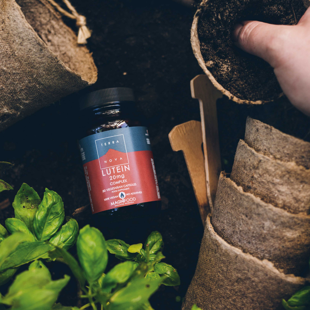Terranova Lutein - Luteiini 20 mg 50 kaps.